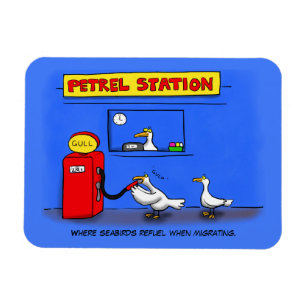 Funny zee gulls petrel cartoon humor magneet