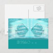 Für Discus-Freunde...briefkaart Briefkaart (Voorkant / Achterkant)