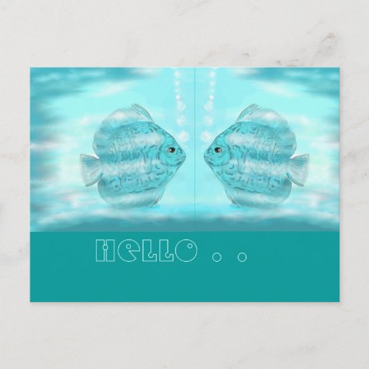 Für Discus-Freunde...briefkaart Briefkaart (Voorkant)