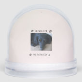 Fur-filled Sunshine Holiday Tribute (Avant)