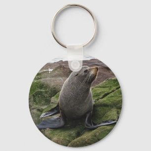 Fur Seal Sleutelhanger
