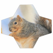 Furball d'aujourd'hui (Plat)