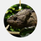 Furcifer oustaleti keramisch ornament (Achterkant)