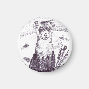 Furet aux pieds noir - aimant