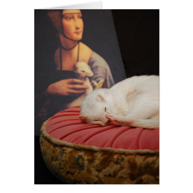 Furet sur coussin roos II (Voorkant)