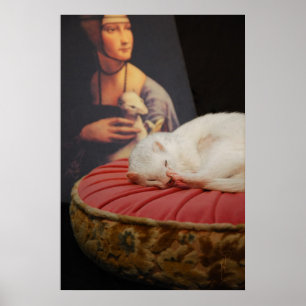 Furet sur coussin roos II Poster