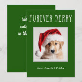 Furever Merry Gepersonaliseerde Kerst Kaart (Voorkant / Achterkant)