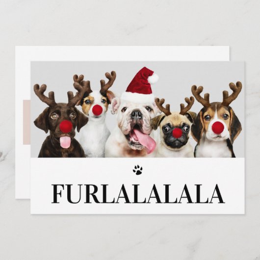 Furlalala Chien Noël 5 Carte photo (Devant / Derrière)