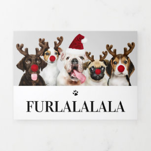 Furlalala Dog Gewaardeerde foto met kerstmis op ma Drieluik Wenskaart