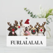 Furlalala Dog Kerstmis 5-fotokaart Kaart (Staand voorkant)
