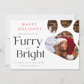 Furry and Bright Pet 3 Photo Funny carte de vacanc (Devant)