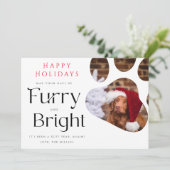 Furry and Bright Pet 3 Photo Funny carte de vacanc (Debout devant)