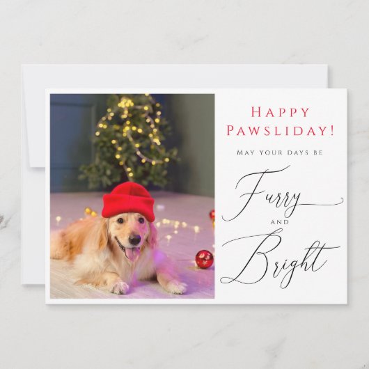 Furry and Bright Pet 3 Photo Funny carte de vacanc (Devant)