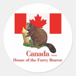 Furry Beaver Ronde Sticker