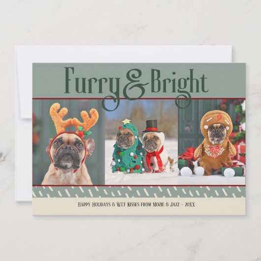 Furry & Bright Dog Kerstfoto Vakantie Kaart (Voorkant)