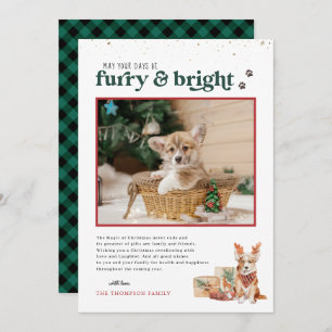 Furry & Bright Pet Holiday-fotokaart Kaart