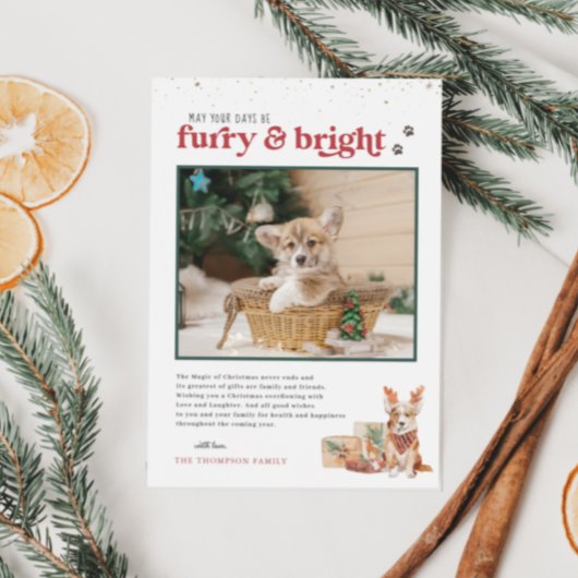 Furry & Bright | Pet Holiday-fotokaart Kaart