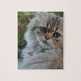 Furry Cat Legpuzzel
