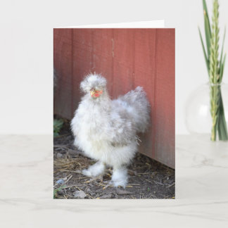 Furry Chicken - humoristisch Wenskaart Kaart
