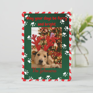 Furry en Bright Dog Foto Kerst Kaart