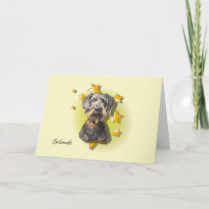 Furry Grey Schnoodle est une carte Star Card