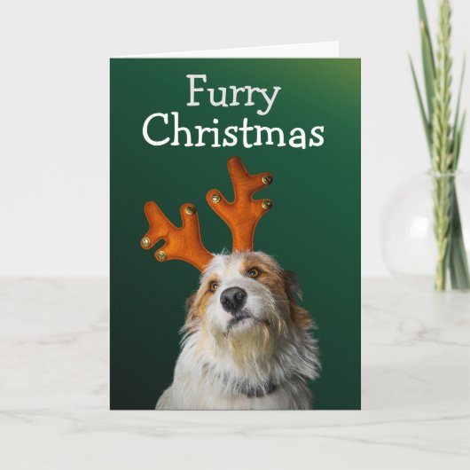 Furry Kerstmis van de hondenkaart Bedankkaart (Voorkant)