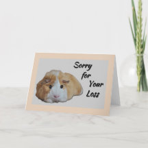 Furry Little Guinea Pig Tan Sorry voor je verlies