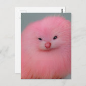 Furry roze ritter briefkaart (Voorkant / Achterkant)