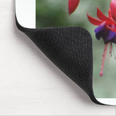 Fuschia1A.jpg Muismat (Hoek)