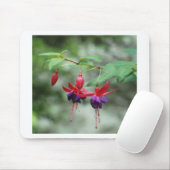 Fuschia1A.jpg Muismat (Met muis)