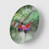 Fuschia1A.jpg Ronde Klok (Hoek)