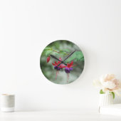 Fuschia1A.jpg Ronde Klok (Huis)