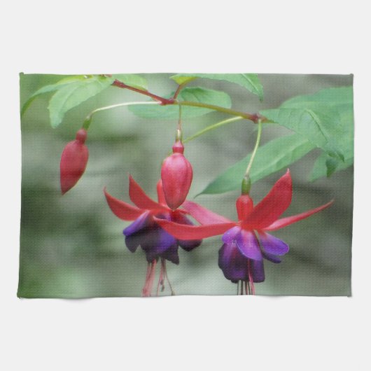 Fuschia1A.jpg Theedoek (Horizontaal)