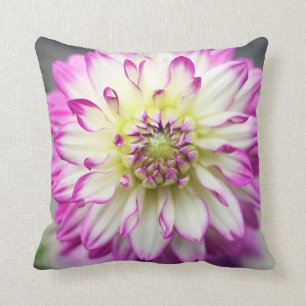 Fuschia Dahlia Flower Kussen