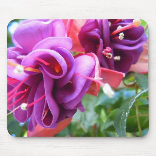 Fuschia Dio Muismat (Voorkant)