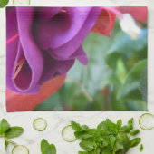 Fuschia Duo Theedoek (Gevouwen)