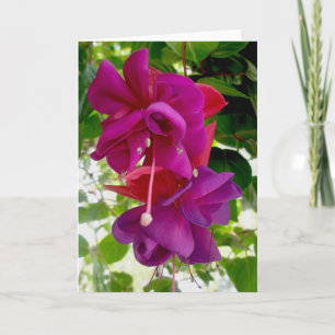 Fuschia Note-Kaart Feestdagen Kaart