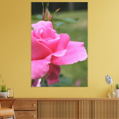 Fuschia Pink Garden Roos Canvas Afdruk (Insitu (Woonkamer))