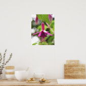 Fuschia Poster (Keuken)