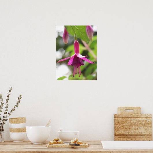 Fuschia Poster (Keuken)