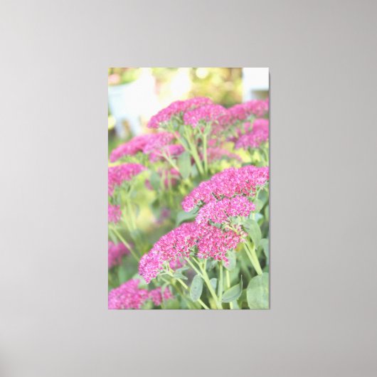 Fuschia Roze Bloemen Canvas (Voorkant)