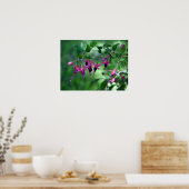 Fushia in Bloom Poster (Keuken)