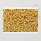 Fusilli pasta macro als achtergrondstructuur briefkaart (Voorkant)