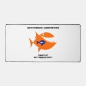 Fusions et acquisitions de la vie Poisson de canar (Recto)