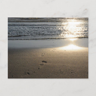 Fußspuren am Sandstrand Briefkaart