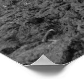 Future Farmer, 1940 Poster (Hoek)