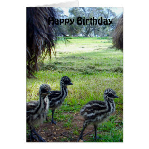 Fuzzy Baby Emu Chicken, Birthday Kaart