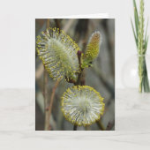 "Fuzzy Blooming Struik" Kaart (Voorkant)