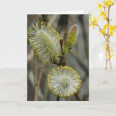 "Fuzzy Blooming Struik" Kaart (Gele Bloem)