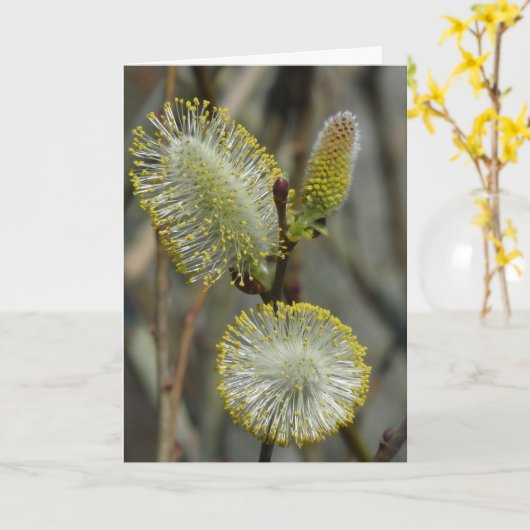 "Fuzzy Blooming Struik" Kaart (Gele Bloem)